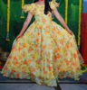 Picture of Semi Organza long frock