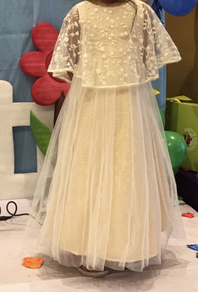 Picture of Frock For 4-6Y