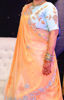 Picture of Beautiful Designer Lehenga