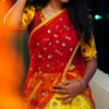 Picture of Organza half saree