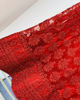 Picture of Red Lehenga