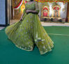 Picture of Olive lehenga