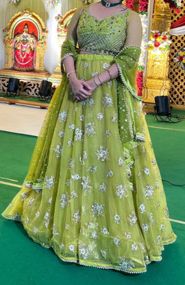 Picture of Olive lehenga