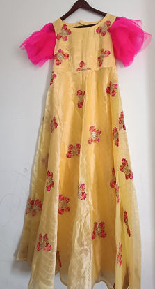 Picture of Organza frock