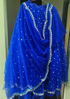 Picture of Bridal Sangeet Maggam Work Lehenga