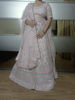 Picture of Pastel wedding Lehenga