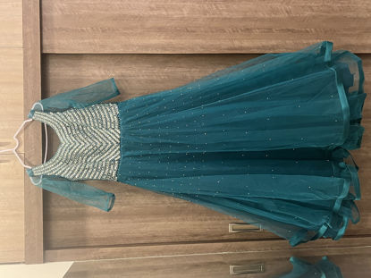 Picture of Green Netted Long Frock