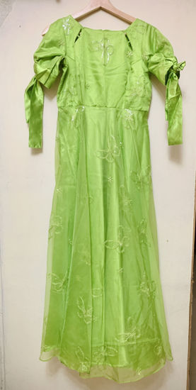 Picture of Organza long frock