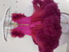 Picture of First Birthday heavy ruffles frock