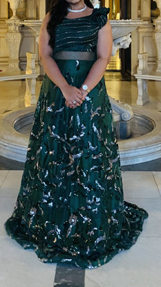 Picture of Designer Embellished Green Frock