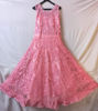 Picture of Pink Embroidery Gown