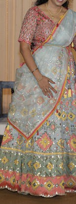 Picture of Bridal lehenga with embroidery and mirror work blouse