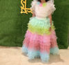 Picture of Rainbow Lehenga with ruffle top For 3-4Y