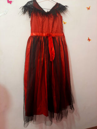 Picture of Feathers Frock For 8-10Y