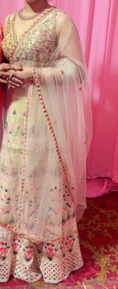 Picture of Lehenga choli