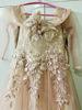 Picture of Baby pink Barbie gown