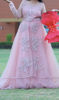 Picture of Pink Netted Gown