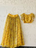 Picture of Flared skirt with crop top and ruffled dupatta