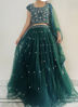 Picture of Green Netted Lehenga