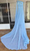 Picture of Blue Georgette Trail gown