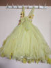 Picture of Birthday party dress - TUTU with Feather work For 2-4Y