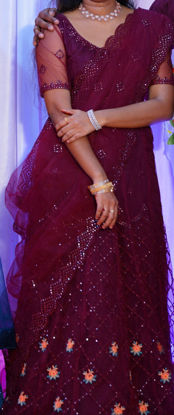 Picture of Netted Lehenga