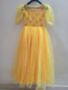 Picture of Yellow netted long frock with maggam work