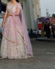 Picture of Pastel Embroidered Lehenga
