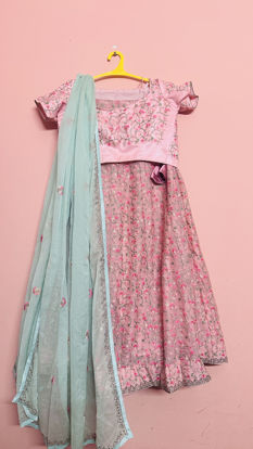 Picture of Pastel Embroidered Lehenga