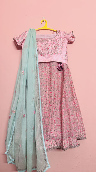 Picture of Pastel Embroidered Lehenga