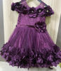 Picture of Fancy Netted Frock For 1-2Y