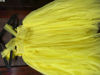 Picture of Fancy Netted Frock For 1-2Y