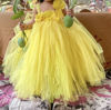 Picture of Fancy Netted Frock For 1-2Y