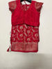 Picture of Red colour meenakari Saree