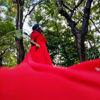 Picture of Elegant Red Gown