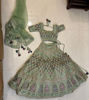 Picture of Bridal Pista Color Embellished Lehenga