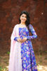 Picture of Chinon Dress With organza dupatta