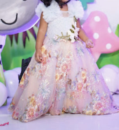 Picture of Avira Brand Embroidered Frock For 3-4Y