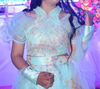 Picture of Organza Lehenga