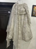 Picture of Classy pearl Lehenga