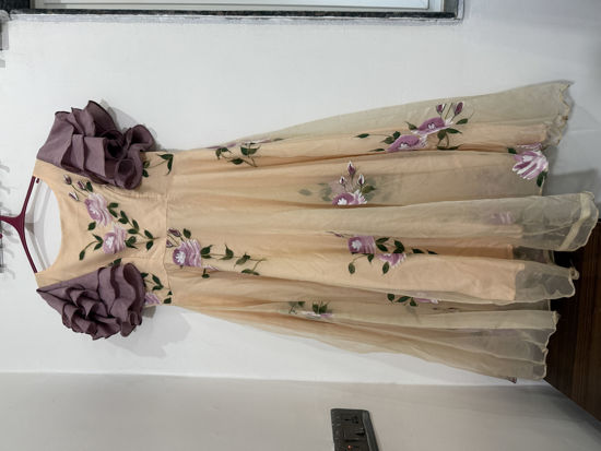 Picture of Hand Painted Organza Frock