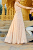 Picture of Blush peach Embellished net gown