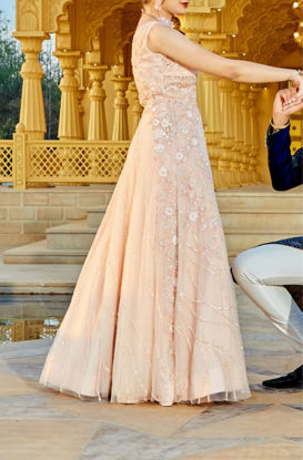 Picture of Blush peach Embellished net gown