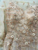 Picture of Blush peach Embellished net gown