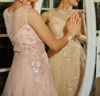 Picture of Blush peach Embellished net gown