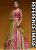 Picture of Multicolor lehenga