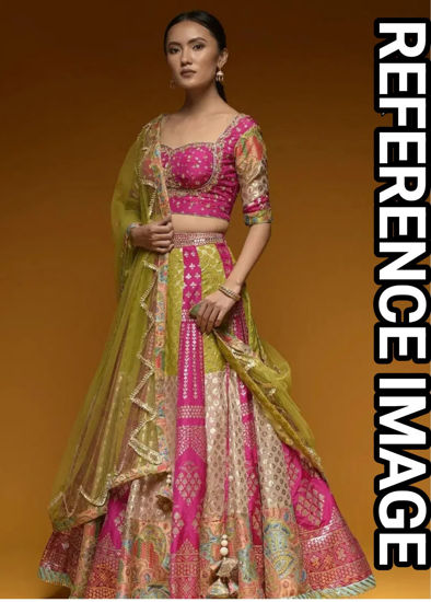 Picture of Multicolor lehenga