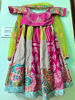 Picture of Multicolor lehenga
