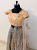 Picture of Peach and Grey Lehenga Set