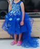Picture of Butterflies party frock with tail For 2-4Y
